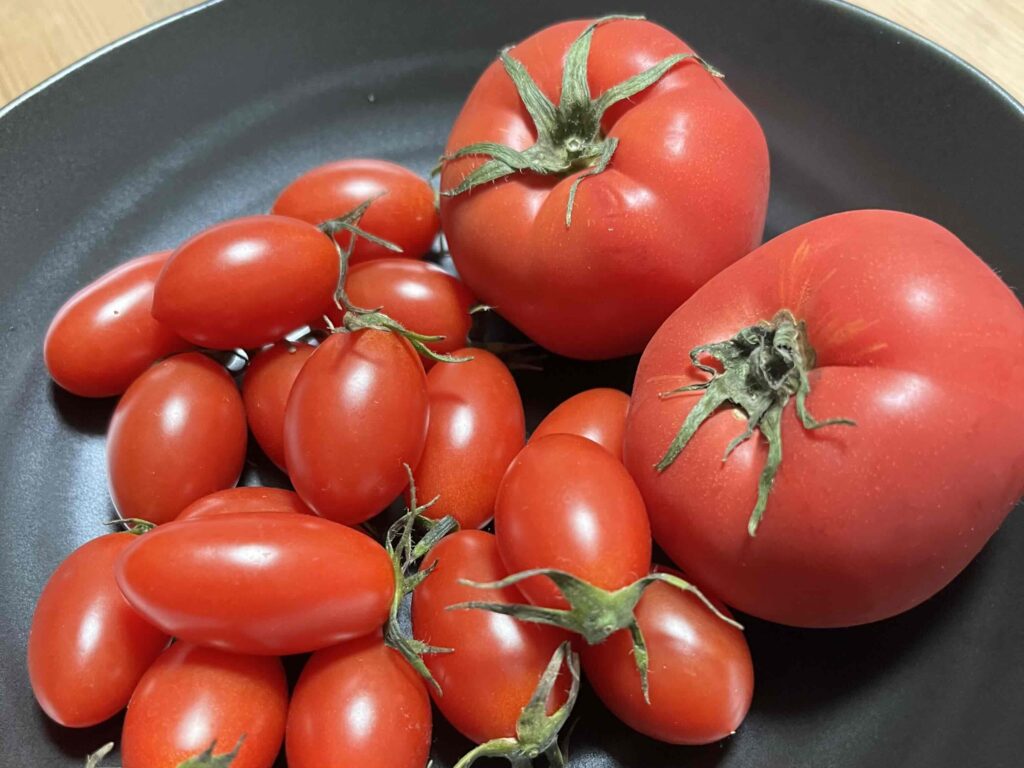 ミニトマトのアイコが大好き
